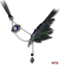 P540 - The Raven